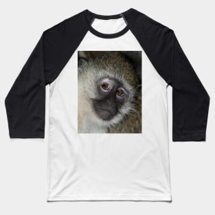 The Eyes Have It! Black-faced Vervet Monkey, Kenya Baseball T-Shirt